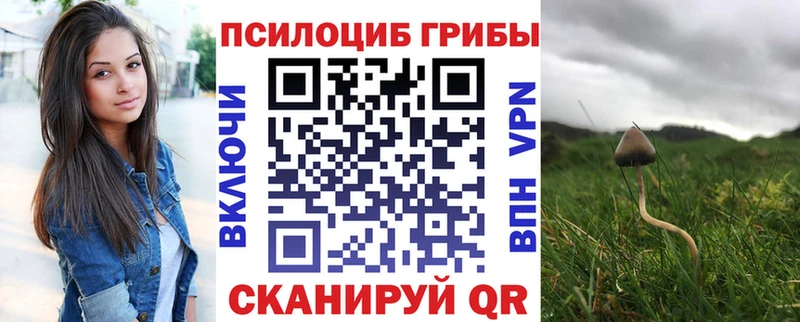 как найти закладки  Спасск-Рязанский  Галлюциногенные грибы Magic Shrooms 